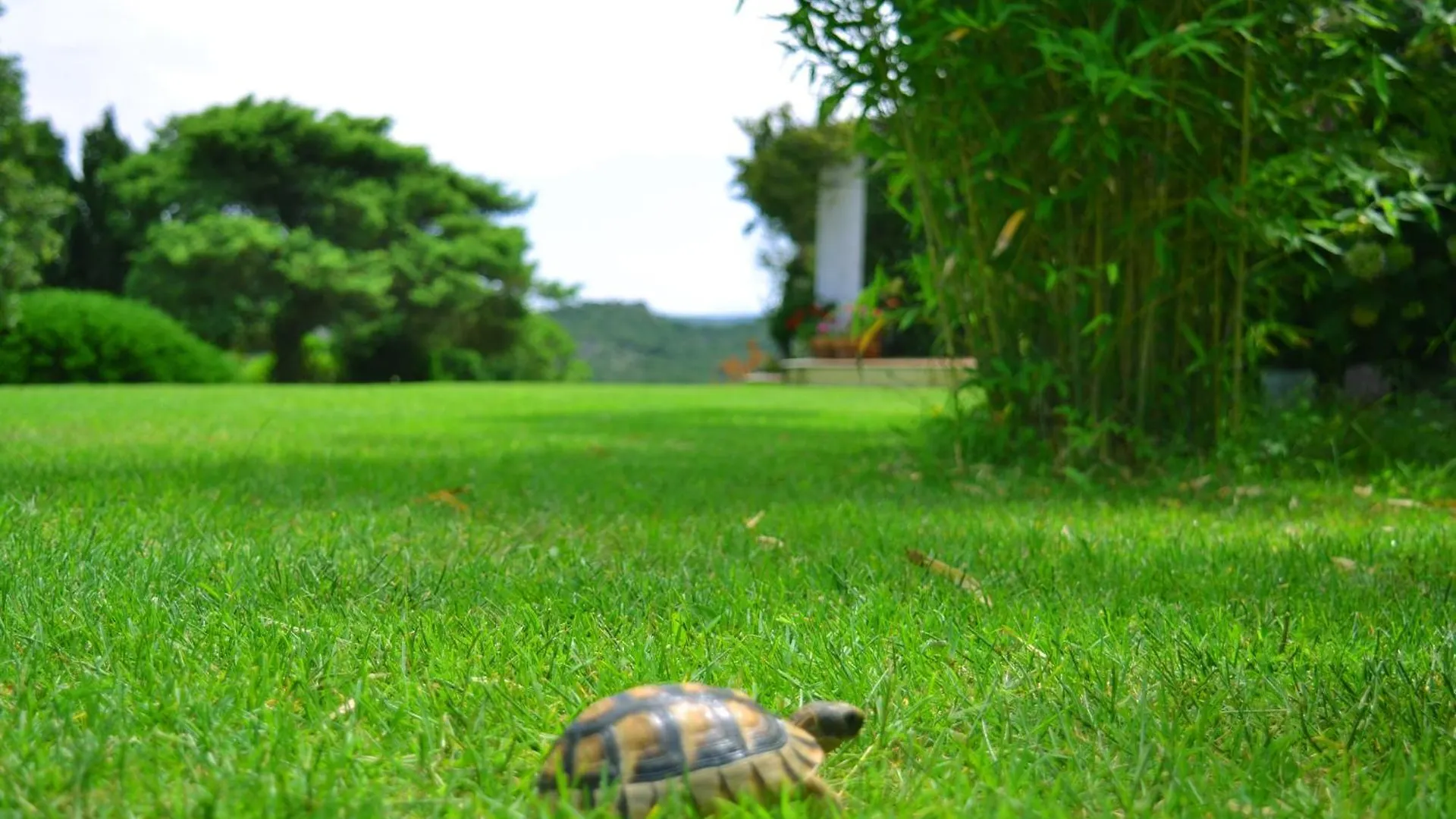 Villa Agriturismo La Valletta Marazzino